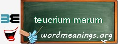 WordMeaning blackboard for teucrium marum